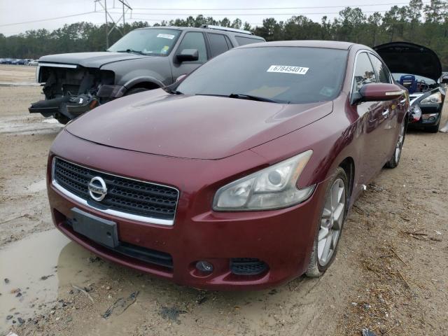 Image 2 of 2011 NISSAN MAXIMA S 2011 with VIN 1N4AA5AP2BC813504