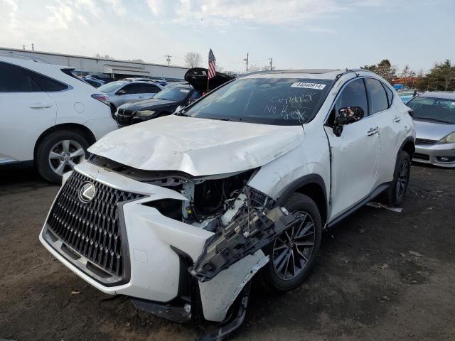 2024 LEXUS NX 350 BASE 2024 image