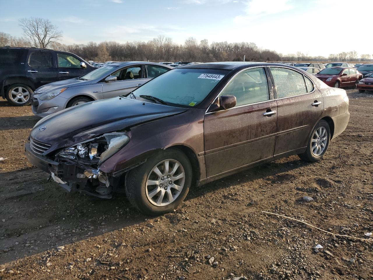 2002 LEXUS ES 300 2002 image