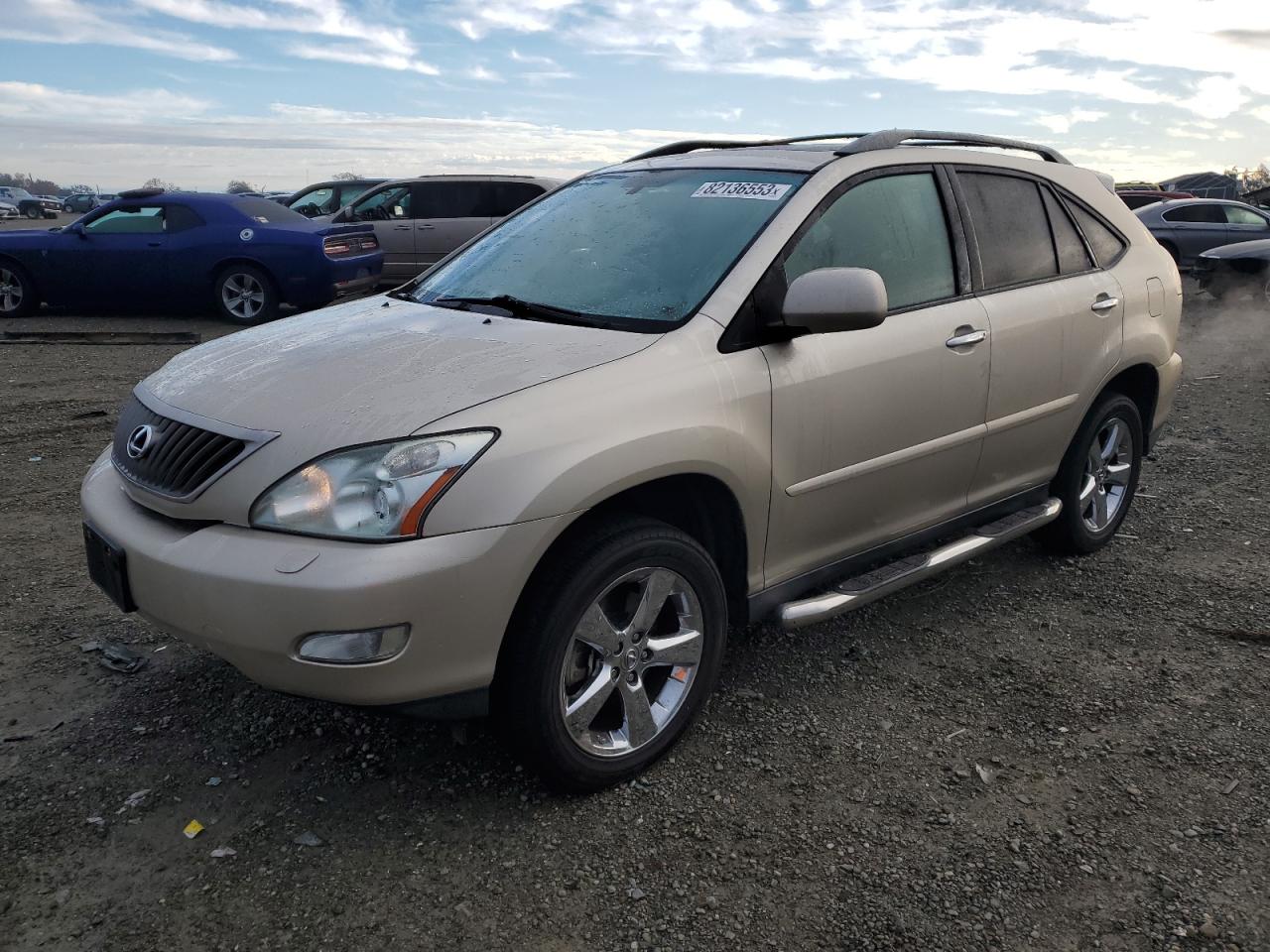 2008 LEXUS RX 350 2008 image