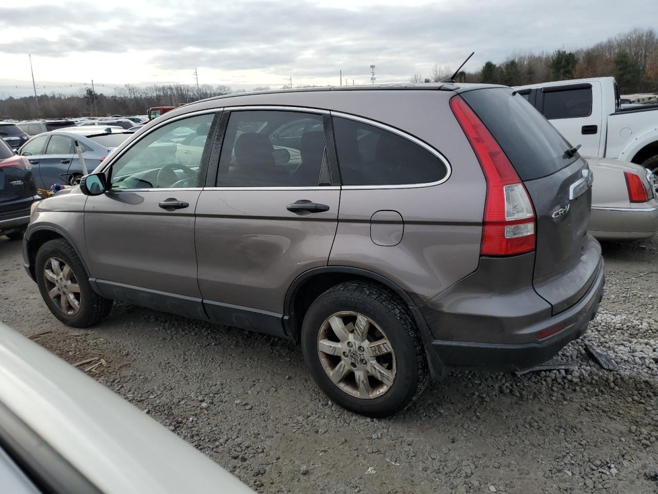 Image 2 of 2011 HONDA CR-V SE 2011 with VIN 5J6RE4H46BL086479