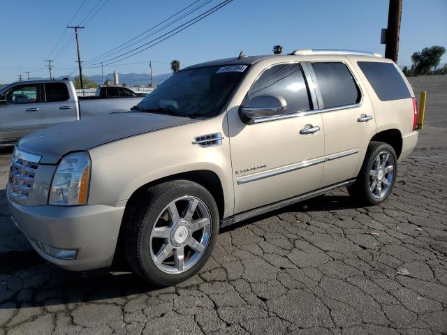 Obraz 2007 CADILLAC ESCALADE LUXURY 2007