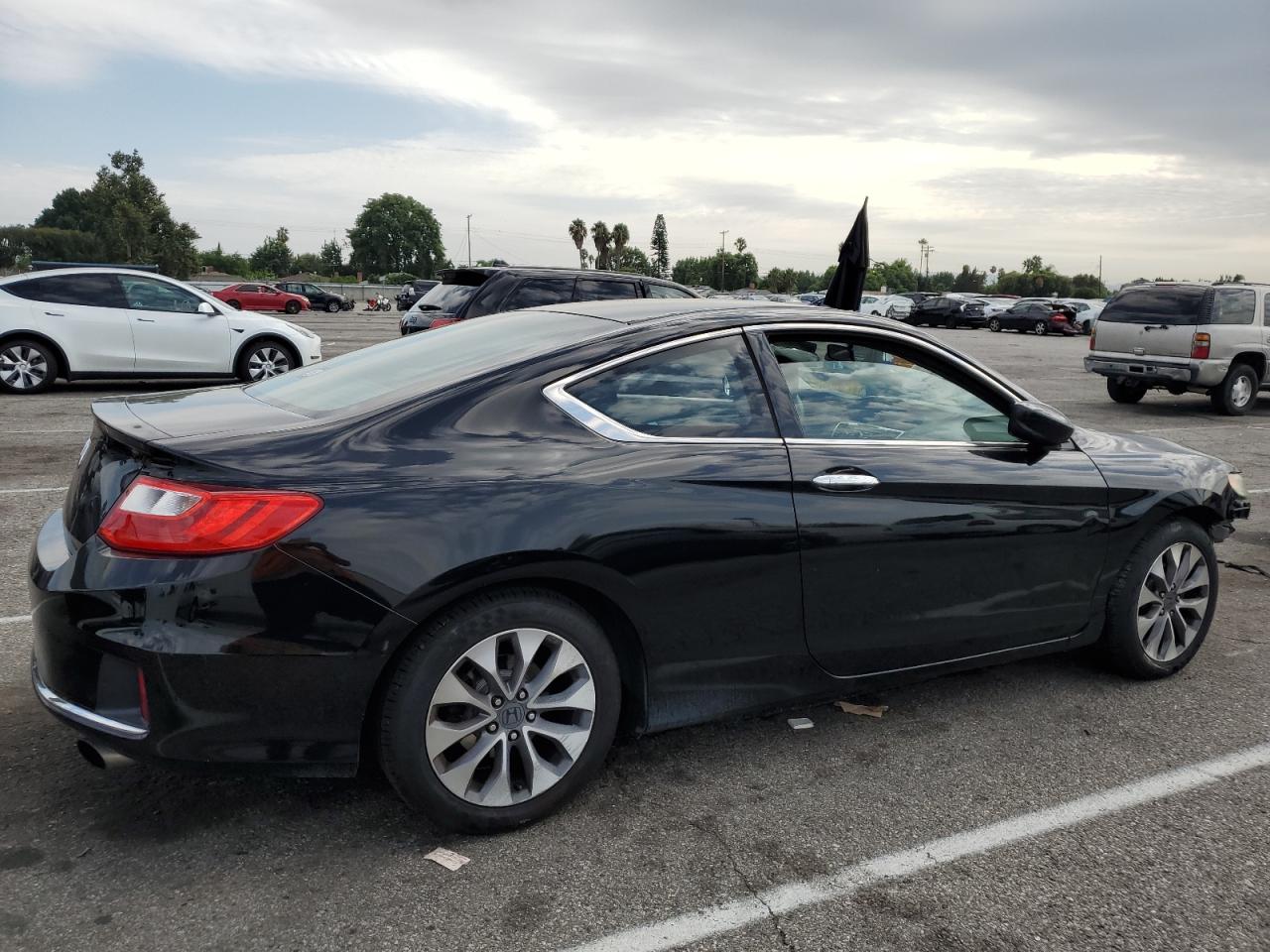 Изображение 3 2013 HONDA ACCORD LX-S 2013 с VIN 1HGCT1B3XDA007007