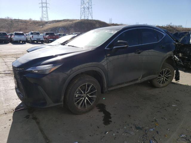 2024 LEXUS NX 350H BASE 2024 image