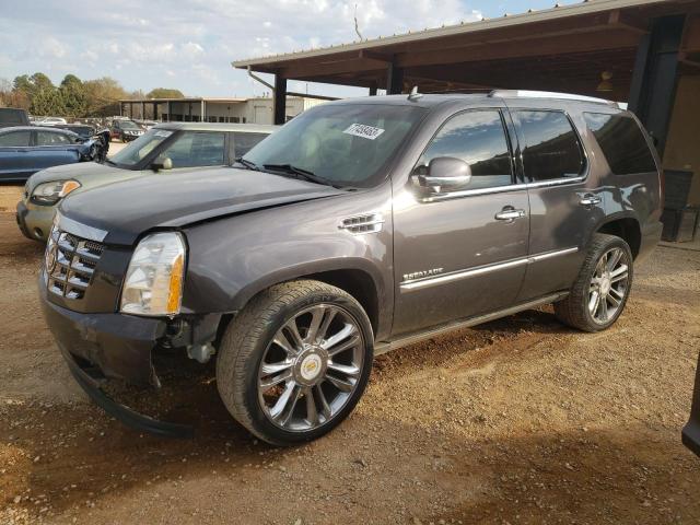 2010 CADILLAC ESCALADE PREMIUM 2010 image