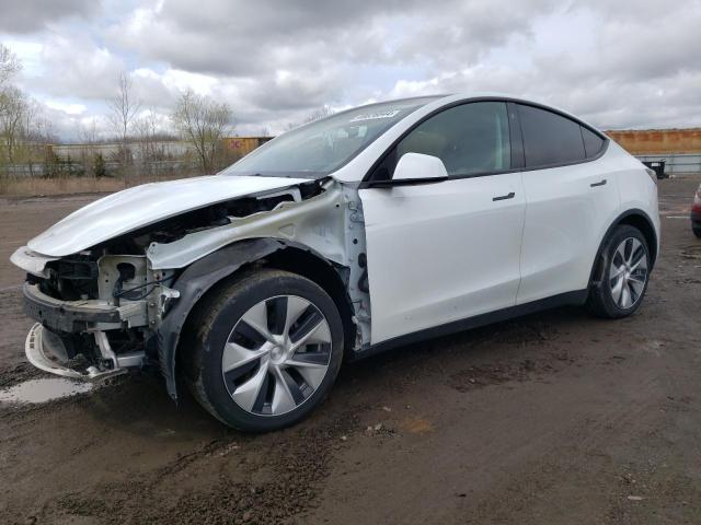 2021 TESLA MODEL Y  2021 image