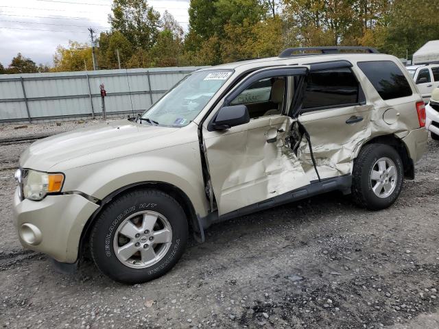 Obraz 2011 FORD ESCAPE XLT 2011