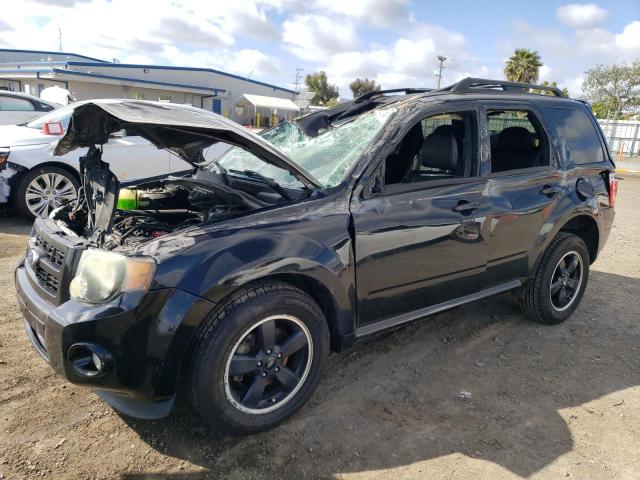 2010 FORD ESCAPE XLT 2010 image