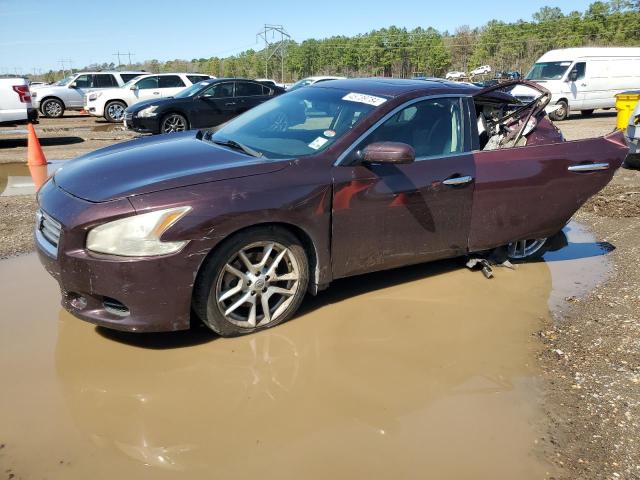 Obraz 2014 NISSAN MAXIMA S 2014