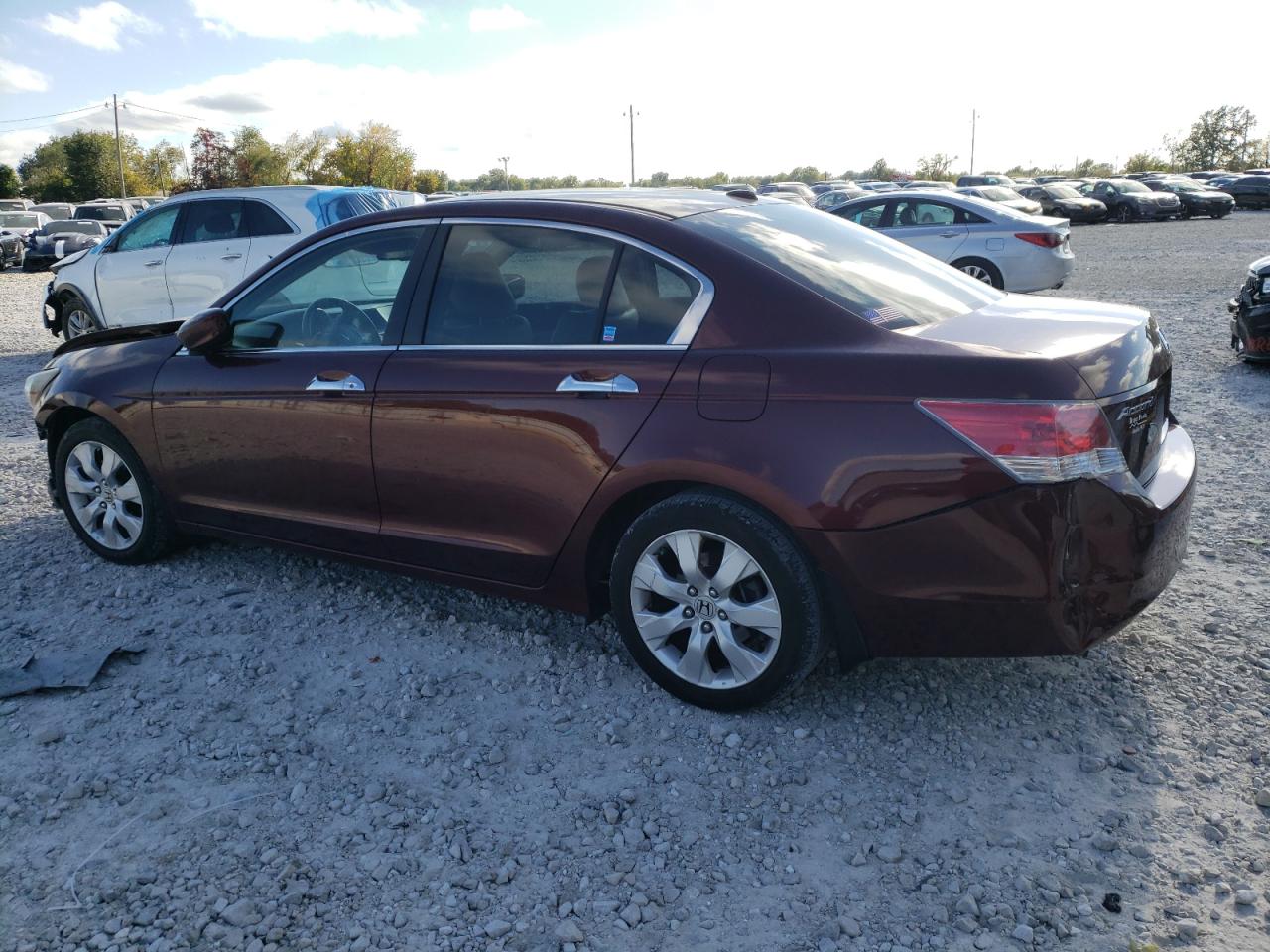 Изображение 2 2008 HONDA ACCORD EXL 2008 с VIN 1HGCP36838A069666