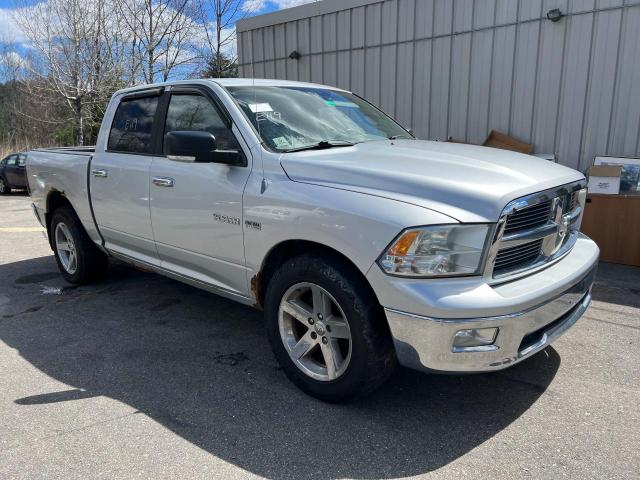 2010 DODGE RAM 1500  2010 image