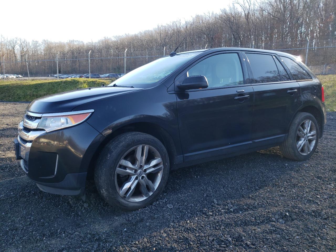 2013 FORD EDGE SEL 2013 image