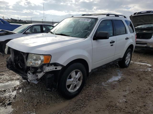 Image 1 of 2011 FORD ESCAPE XLT 2011 with VIN 1FMCU0D77BKB86115