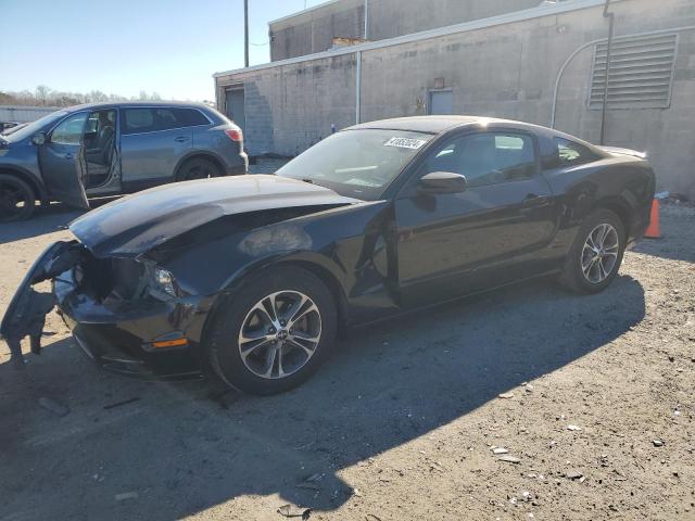 2014 FORD MUSTANG  2014 image
