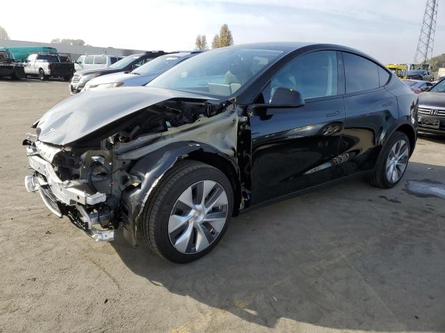 2023 TESLA MODEL Y  2023 image