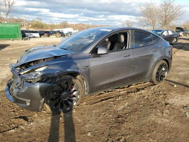 2023 TESLA MODEL Y  2023 image