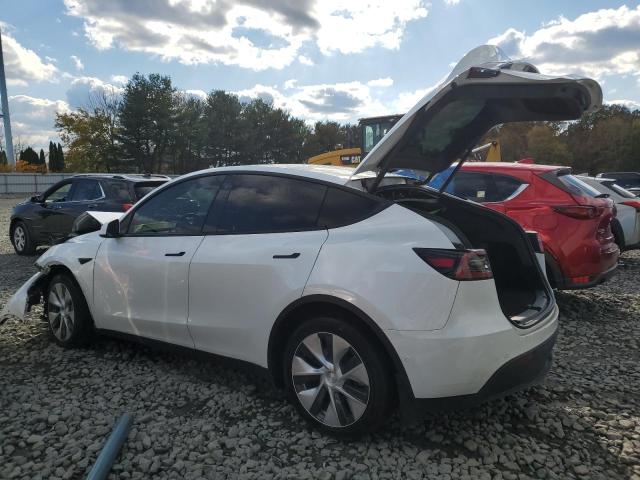 Image 2 of 2021 TESLA MODEL Y  2021 with VIN 5YJYGDEE2MF229586