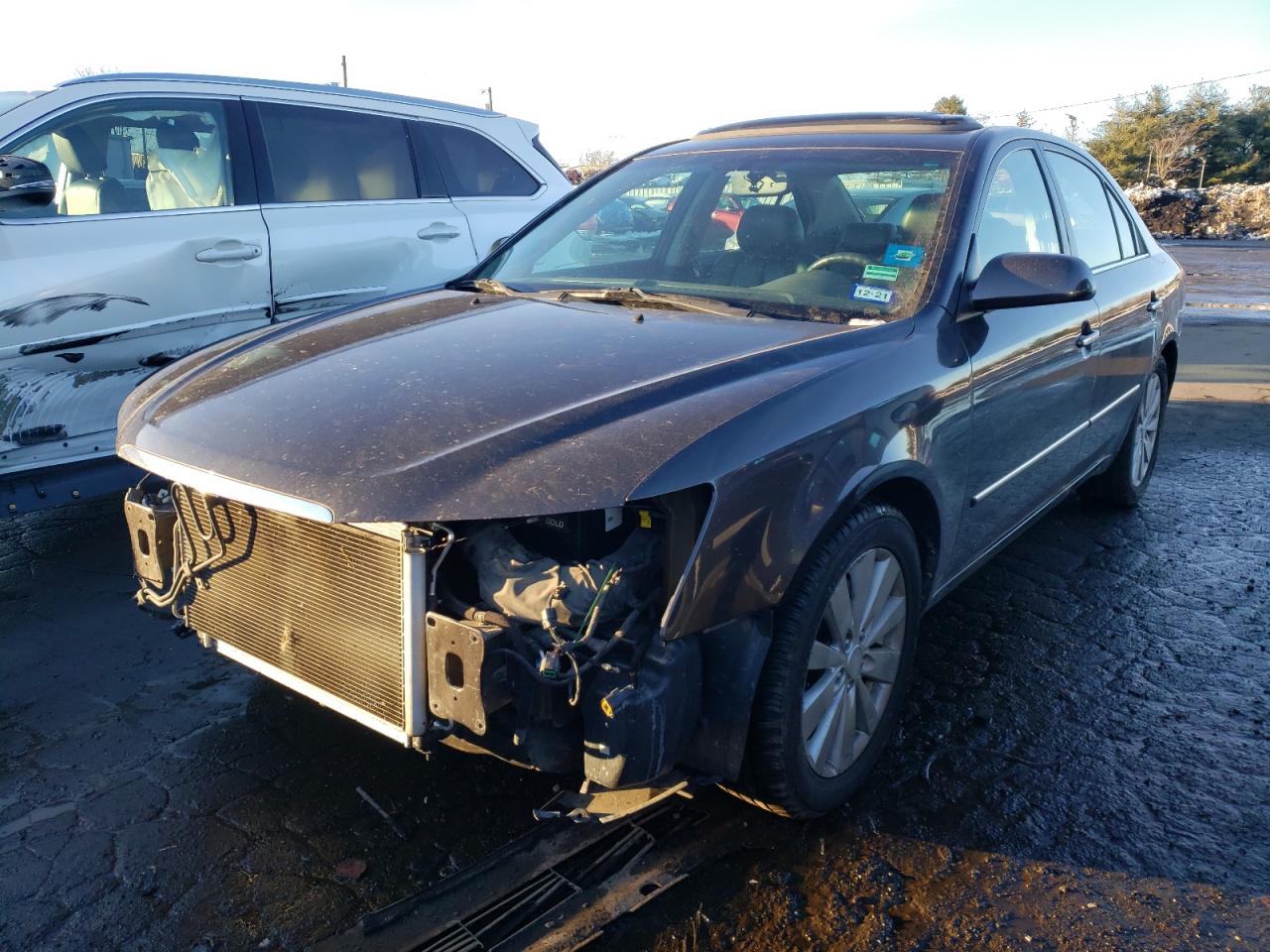 Obraz 2009 HYUNDAI SONATA SE 2009