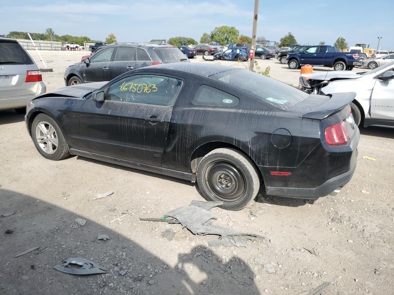 Obraz 2 z 2012 FORD MUSTANG  2012 z VIN 1ZVBP8AM8C5239403